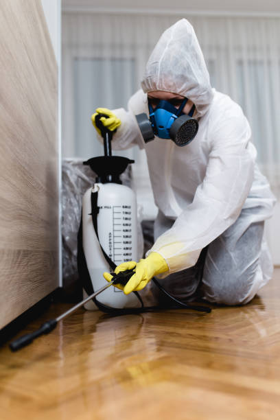 Emergency Pest Control Services in Bath, PA